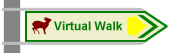 Virtual Walk